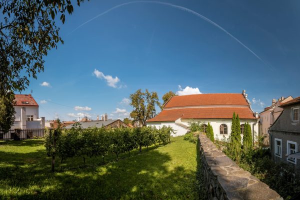 Zahrada synagogy v Kolíně