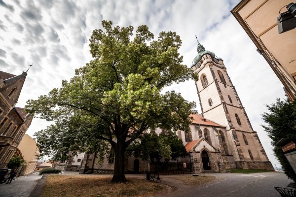 Kostel svatého Petra a Pavla na Mělníku