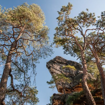 Příhrazské skály v létě, CHKO Český ráj