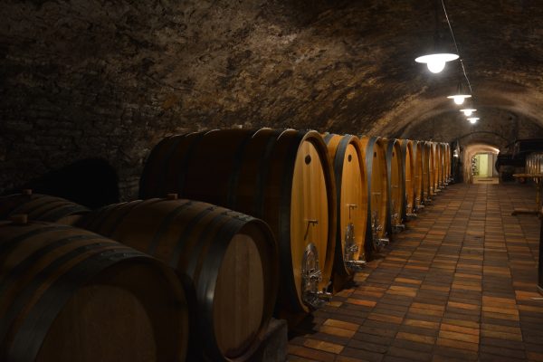 Vinný sklep na zámku Mělník, sudy, víno