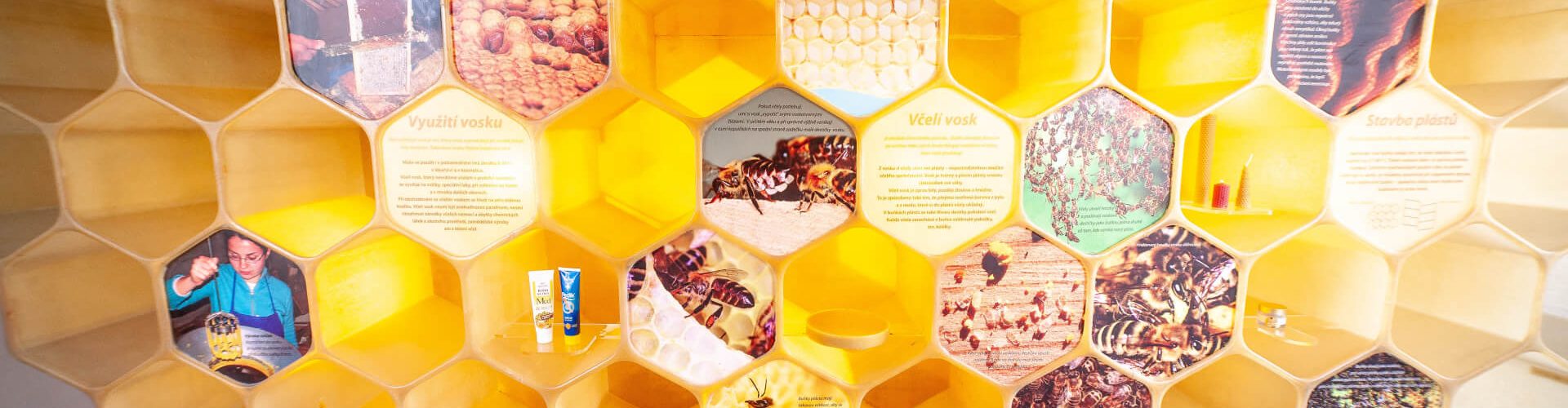 Interaktivní expozice ve Včelím světě Hulice