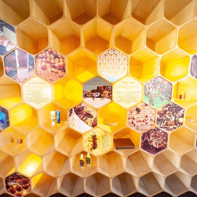 Interaktivní expozice ve Včelím světě Hulice