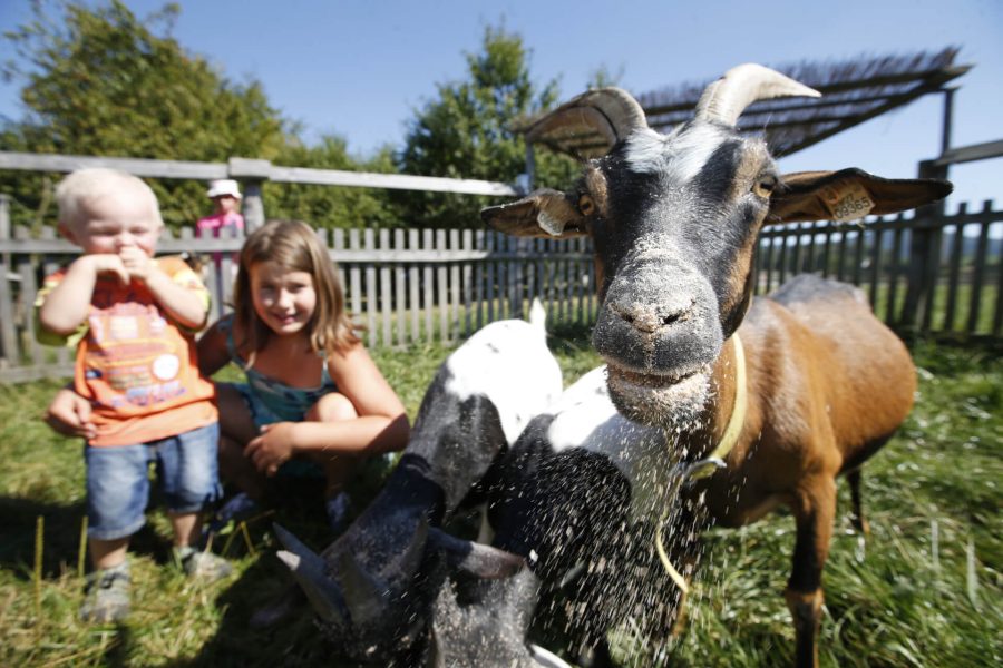 Děti a zvířata na farmě Blaník