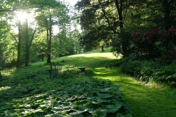 Zámecký park Vrchotovy Janovice