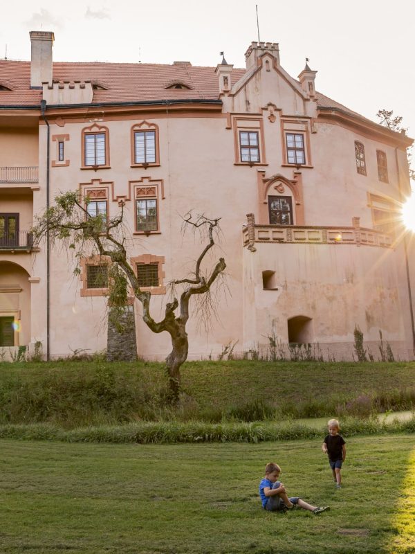 Pohled z parku na levou stranu zámku Vrchotovy Janovice