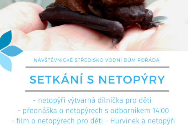 Setkání s netopýry – plakát