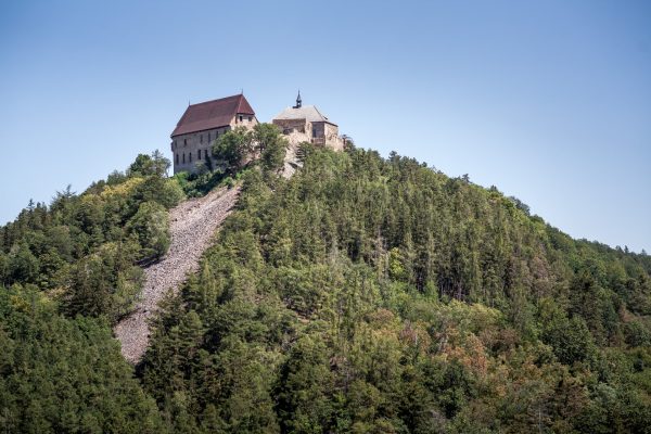 Zřícenina hradu Točník, les