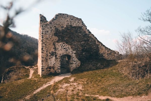 Torzo paláce zříčeniny hradu Týřov