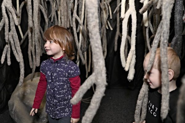 Expozice Kořeny