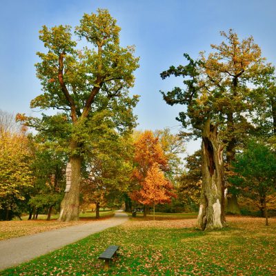 Zámecký park Vlašim