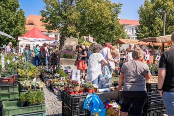 Hrnčířské trhy Beroun