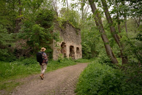 Stezka údolím Vrchlice