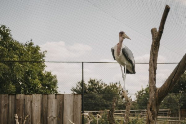 Zoopark Nehvizdy
