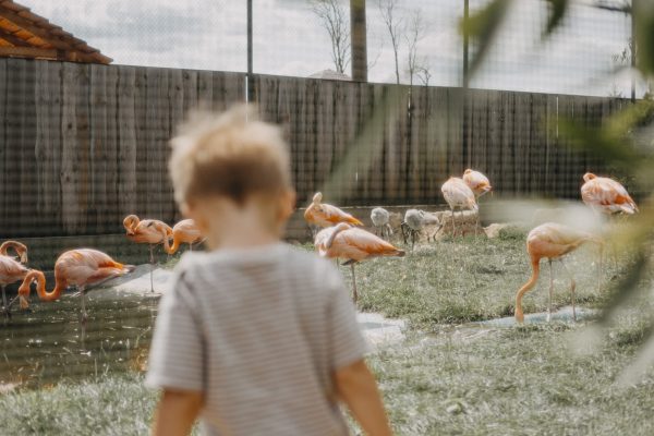 Zoopark Nehvizdy