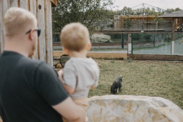 Zoopark Nehvizdy