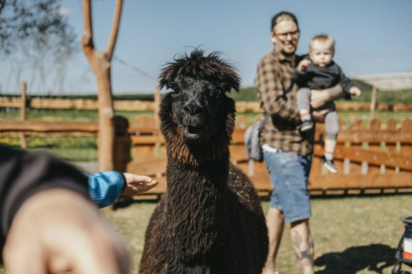Zoopark Zelčín