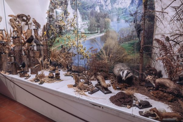 Muzeum Českého krasu