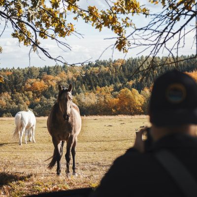 Arboretum v Kostelci nad Černými Lesy