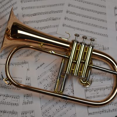 Trumpeta, noty – vzor