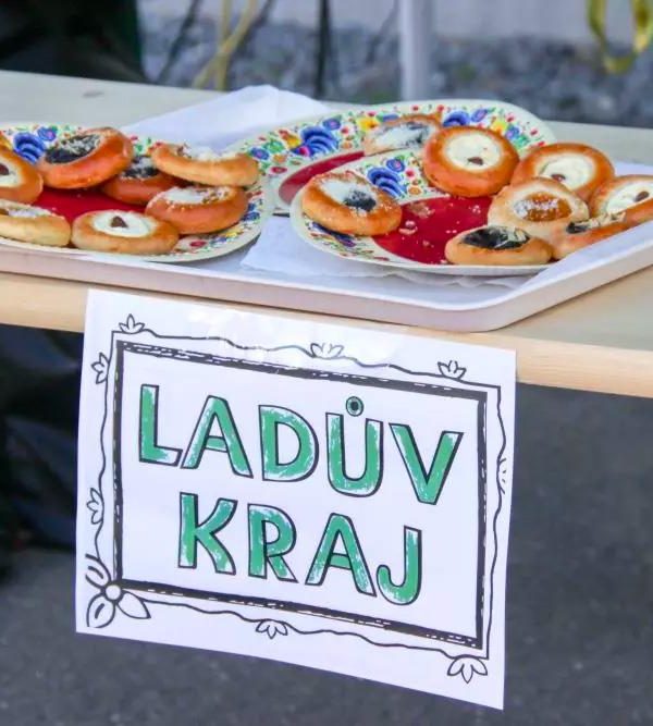 Pochod Krajinou barona Ringhoffera