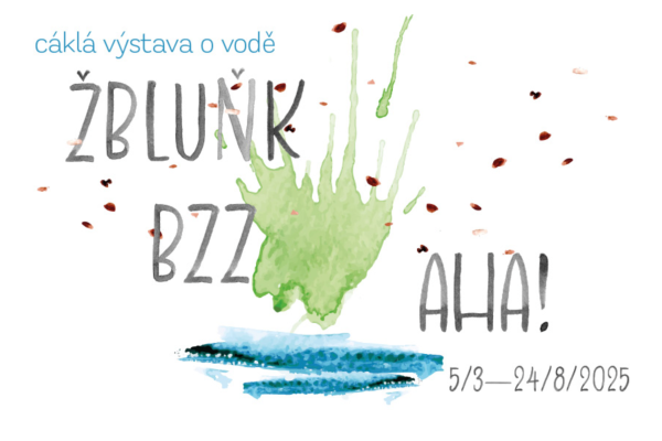 Cáklá výstava o vodě: Žbluňk, bzz, aha!