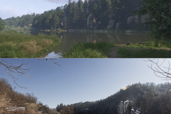 Věžičký rybník