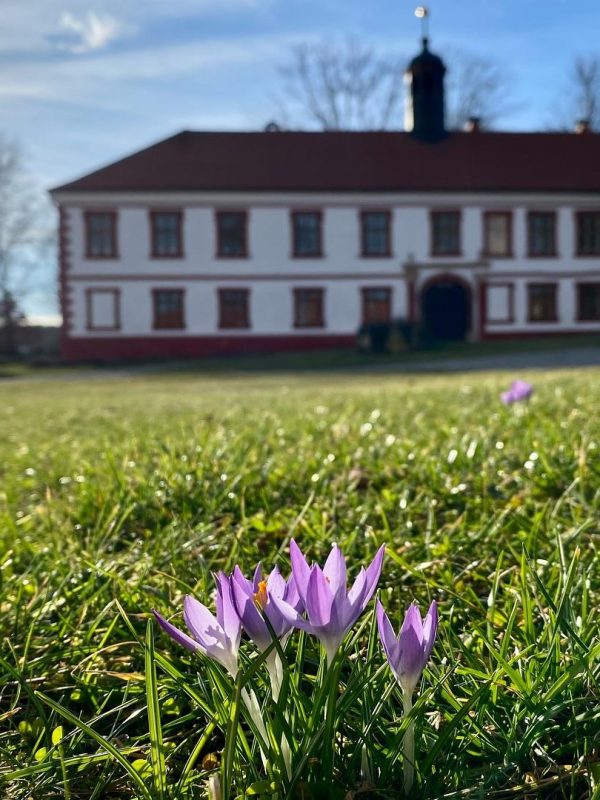 Chateau Třebešice