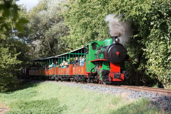 Výlet parním vlakem