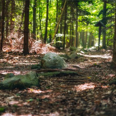 Tajemné Kounovské kamenné řady