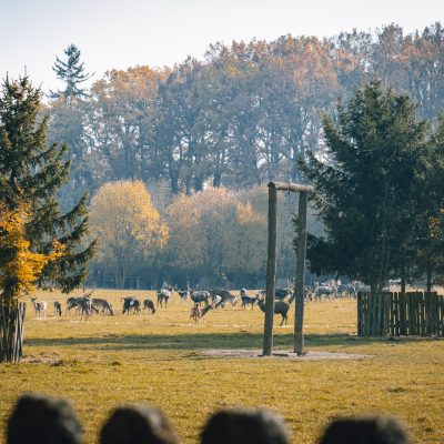 Demonstrační obůrka Lány