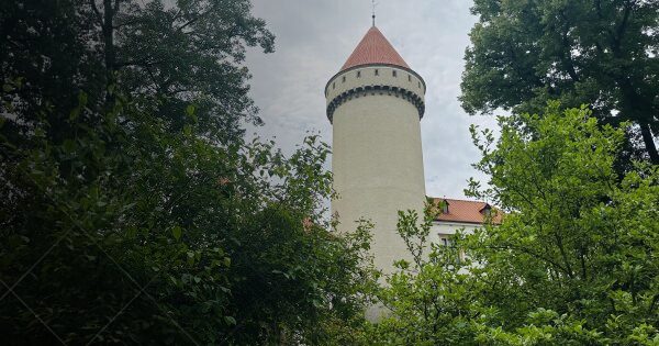 Mimořádné prohlídky věže Václavky