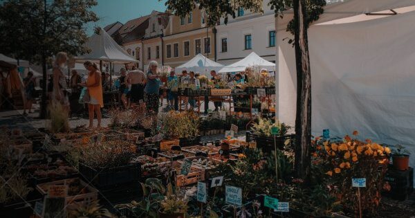 Podbrdský farmářský a řemeslný trh